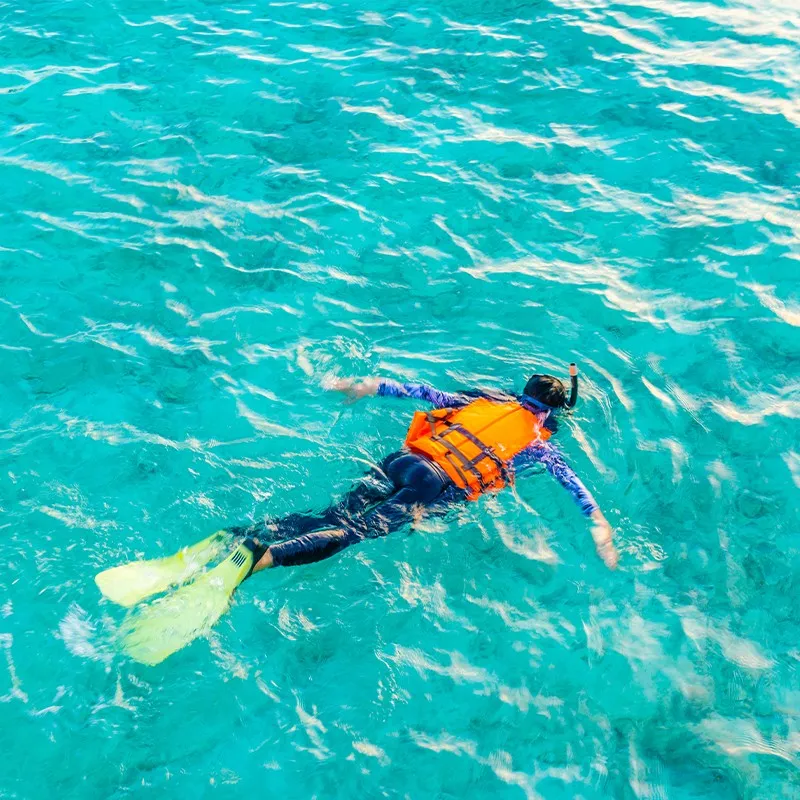 Stingray City snorkeling photo 1