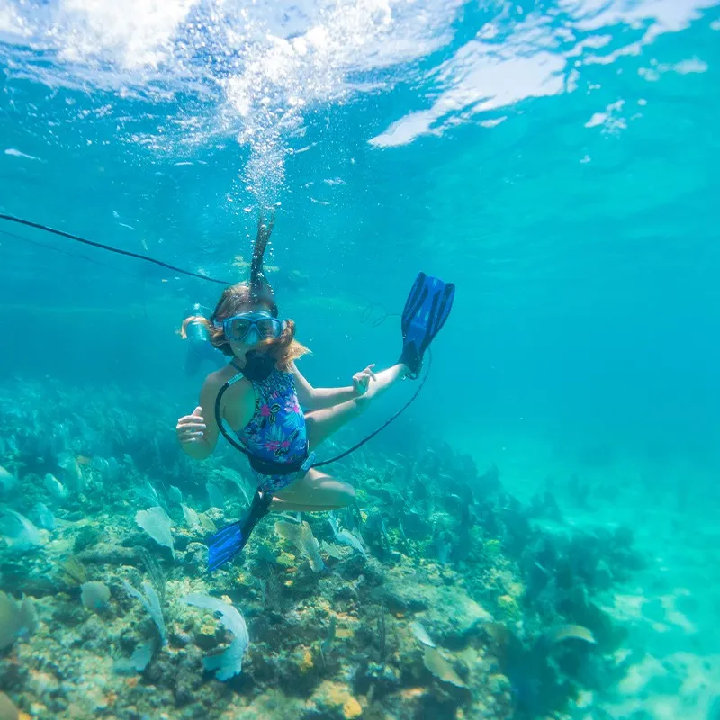 Stingray City snorkeling photo 2