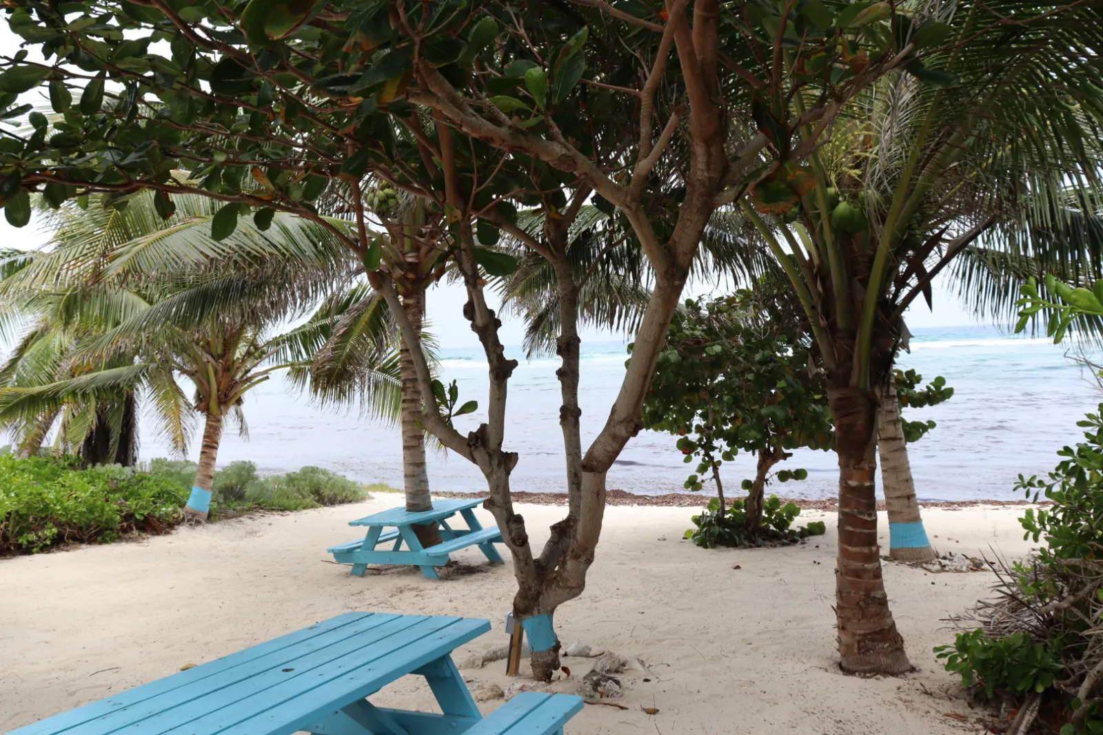 Seaside Paradise Restaurant photo 5